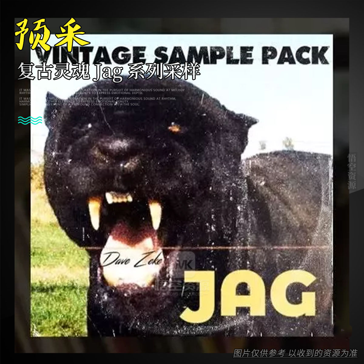 编采丨Dave Zeke Jag Vintage Sample Pack WAV（复古灵魂 Jag 系列采样）