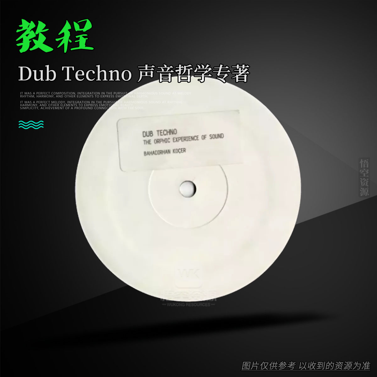 书籍丨Dub Techno- The Orphic Experience of Sound（Dub Techno 声音哲学专著）
