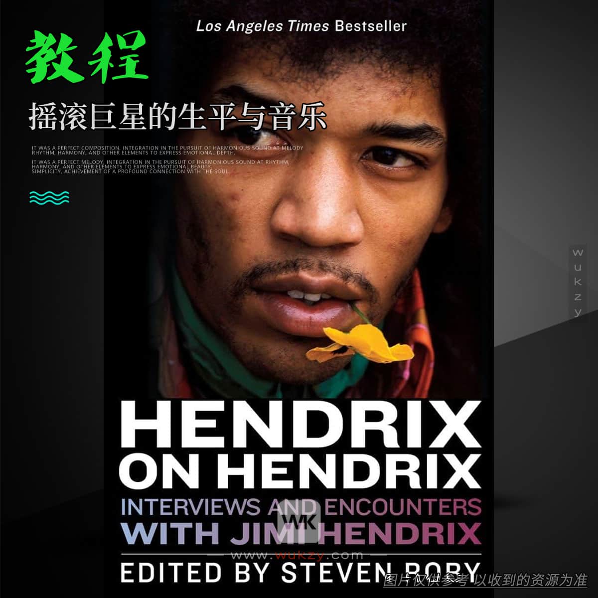 书籍丨Hendrix on Hendrix- Interviews and Encounters with Jimi Hendrix（摇滚巨星的生平与音乐）