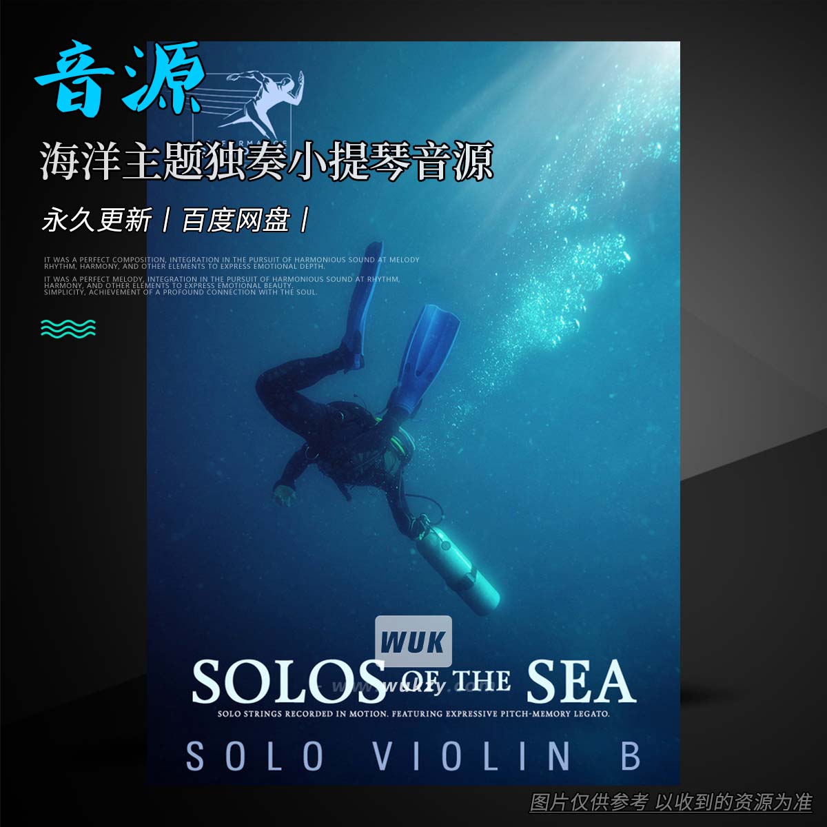 K音源丨Performance Samples Solos of the Sea Solo Violin B（海洋主题独奏小提琴音源）