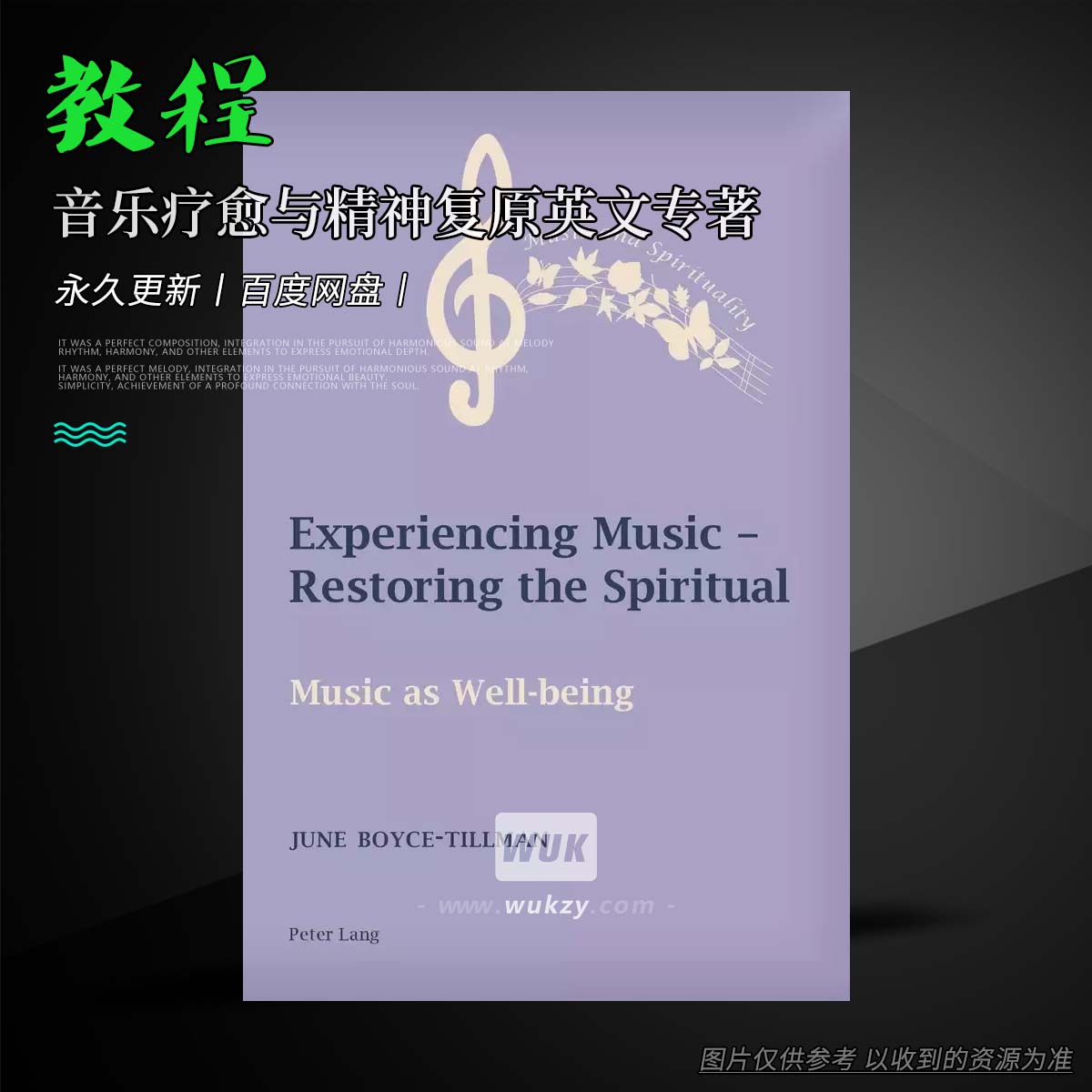 书籍丨Experiencing Music – Restoring the Spiritual-Music as Well-beingPDF [EN]（音乐疗愈与精神复原英文专著）
