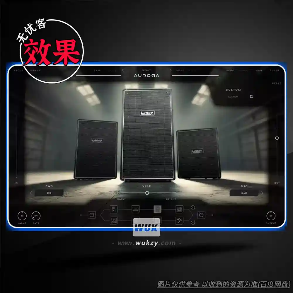 效果丨Aurora DSP Laney Digbeth（W）（贝斯箱头-箱体套装）