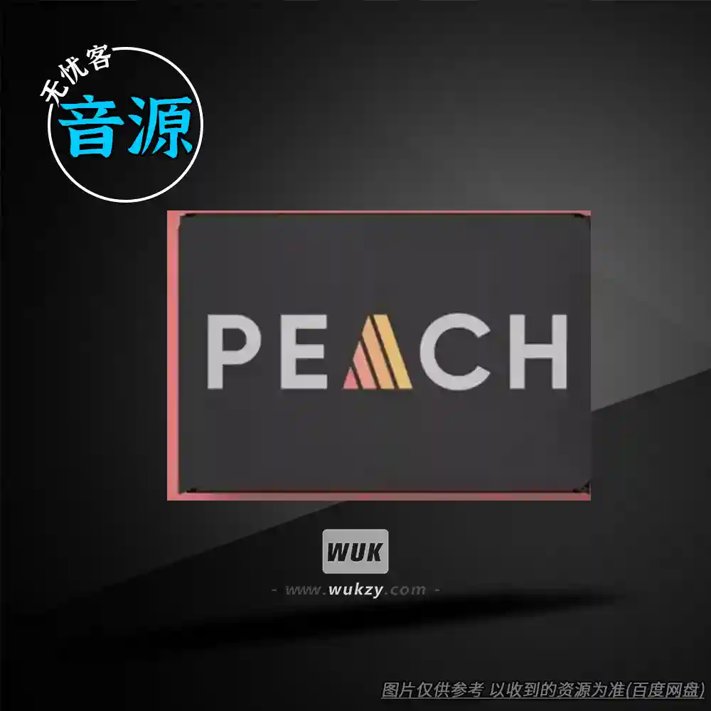 音源丨510k Arts PEACH（温暖过载染色器）（W）