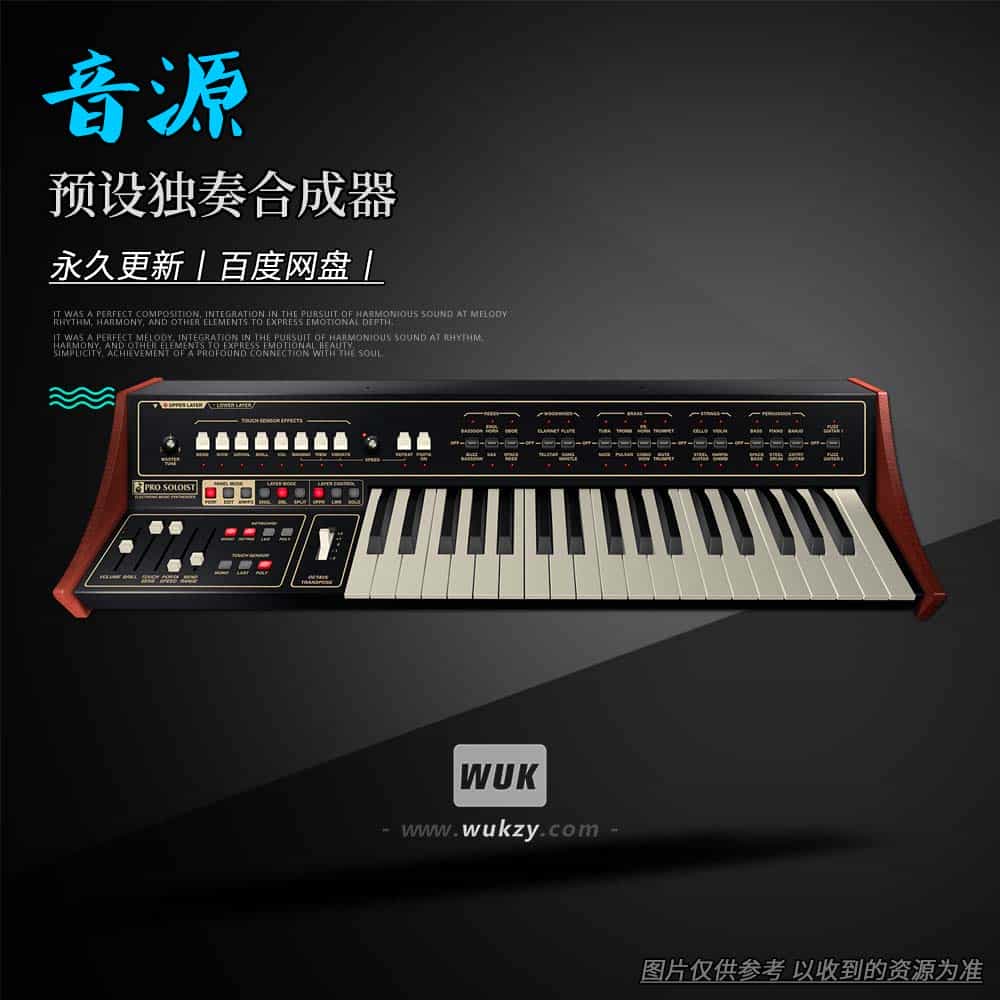 音源丨Cherry Audio Pro Soloist（预设独奏合成器）（W）