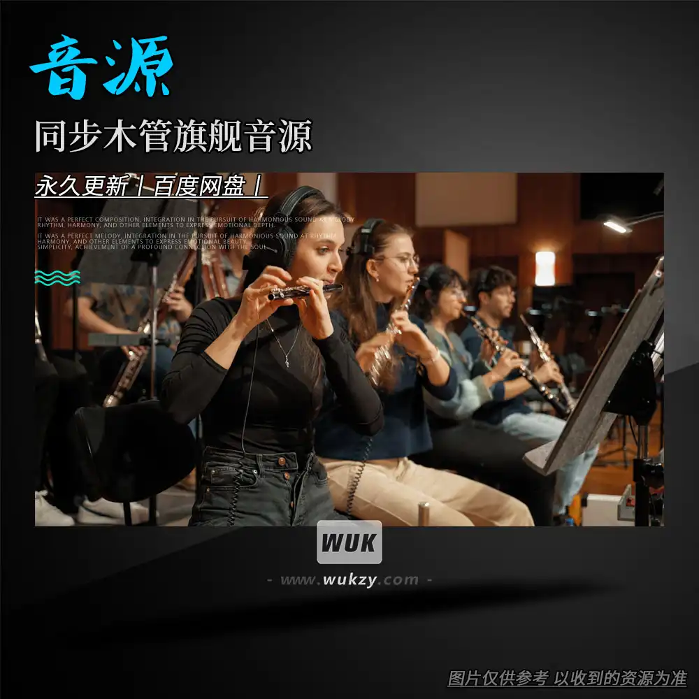 音源丨VSL Synchron Prime Woodwinds（同步木管旗舰音源更新）