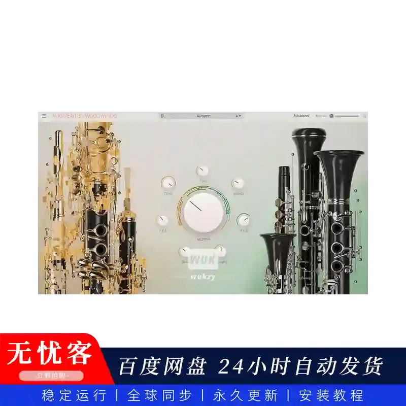音源丨Arturia Augmented WOODWINDS（民族影视-木管混合音源）（永久更新）（W+M）