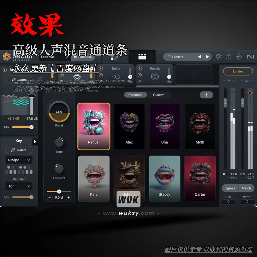 效果丨iZotope Nectar Advanced（高级人声混音通道条）（W+M）