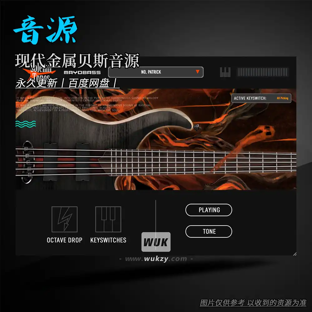 音源丨Solemn Tones MayoBass（现代金属贝斯音源跨平台版）（W+M）