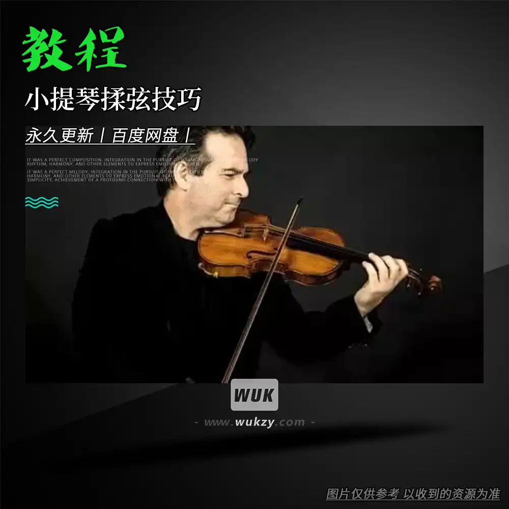 教程丨Udemy Mastering Vibrato on the Violin(小提琴揉弦技巧)