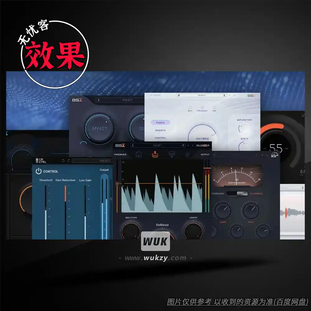 效果丨Black Salt Audio Complete Bundle（厂牌效果器套装）（W）