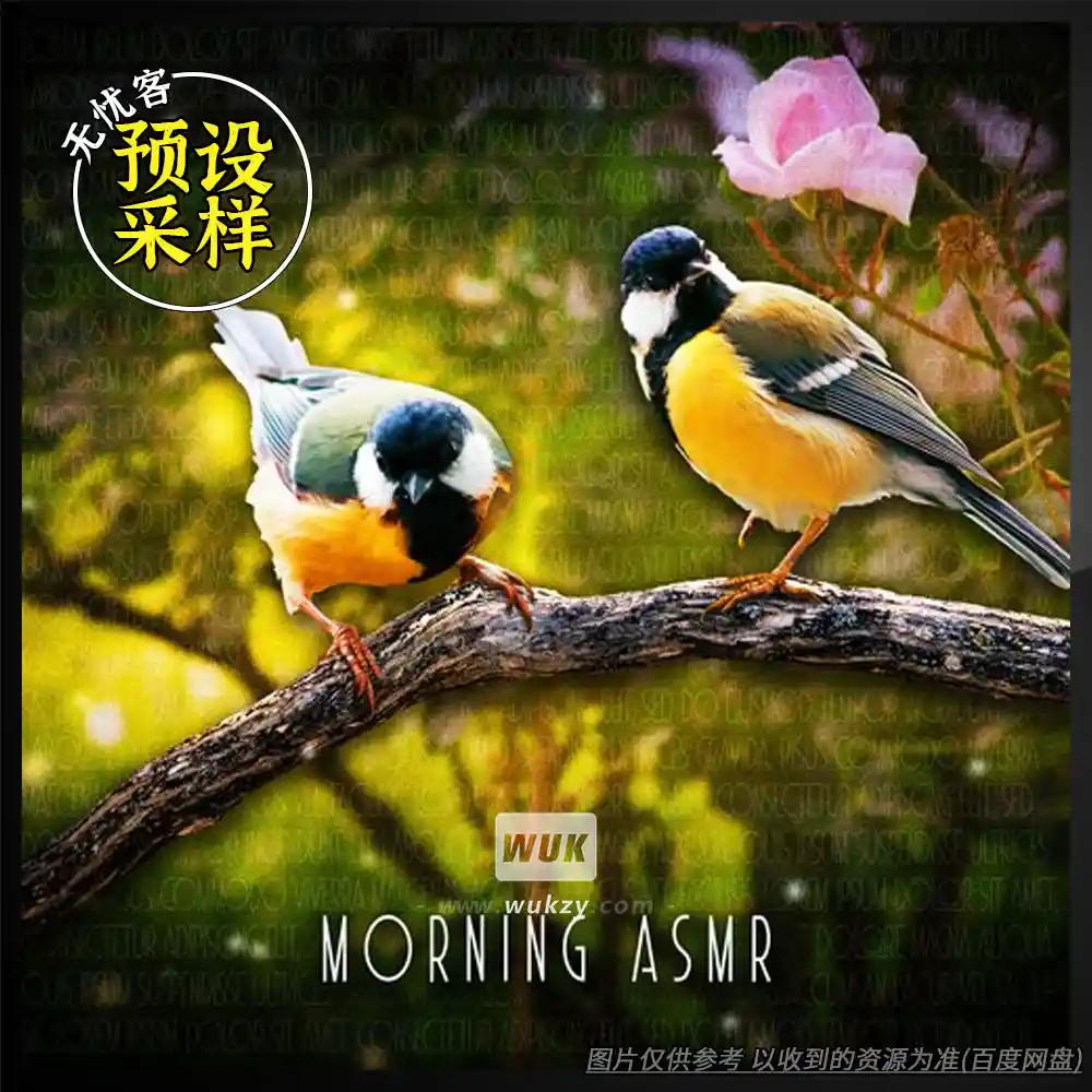 采样丨Sound Effects Zone Morning ASMR Birds Chirping（晨鸟ASMR+立体声）（80）
