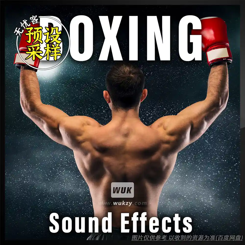 采样丨Sound Ideas Boxing Sound Effects（拳击击打+观众呐喊）（80）
