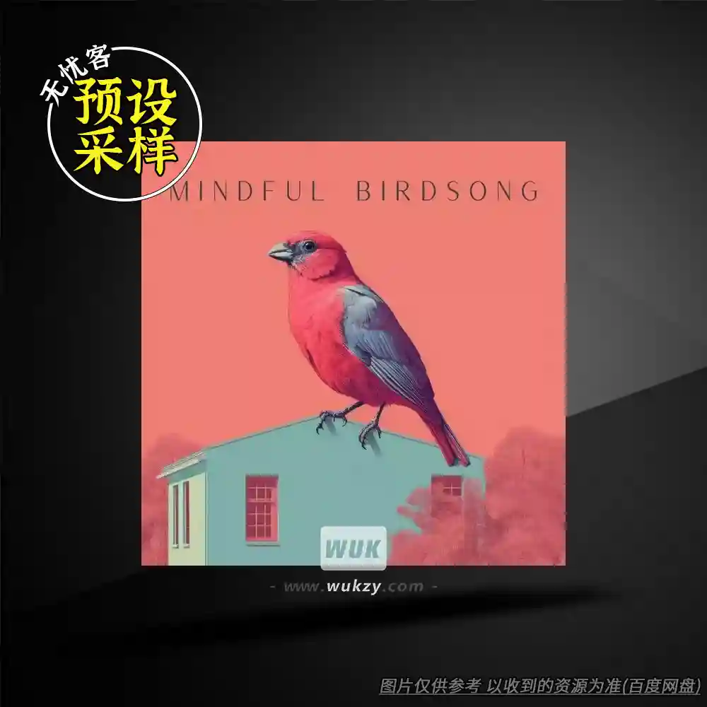 影采丨Sound FX Zone Mindful Birdsong（正念鸟鸣+立体ASMR）（02）