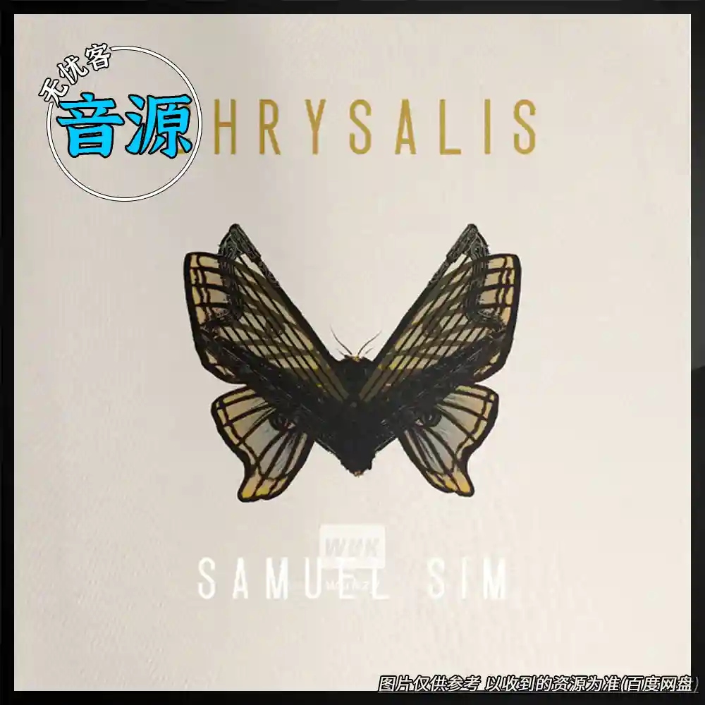 KTK丨Spitfire Audio Samuel Sim Chrysalis（氛围 – 影视配乐）