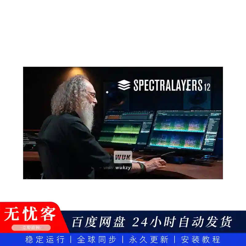 工具丨Steinberg Spectralayers v12.0.40（光谱层修复提取）