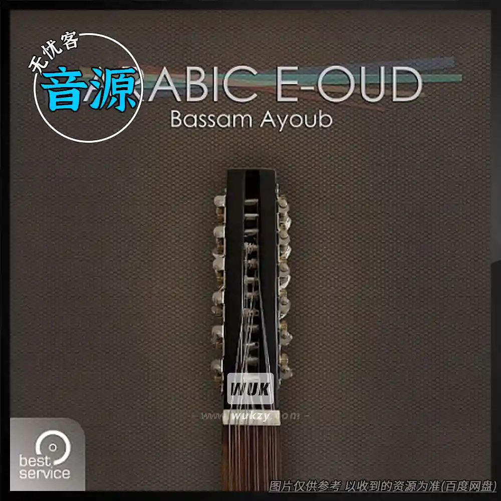 Best Service Engine Arabic E-Oud（2套）（阿拉伯电子乌得琴）