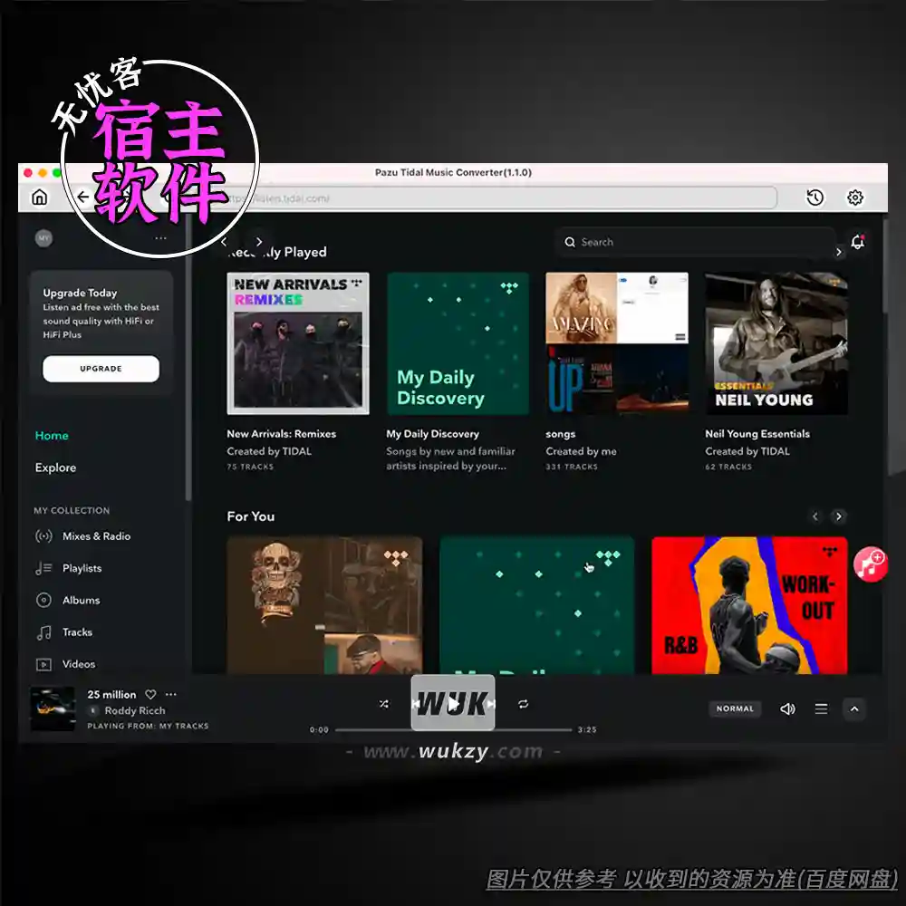 工具丨Pazu Tidal Music Converter（音频下载转换）（W）
