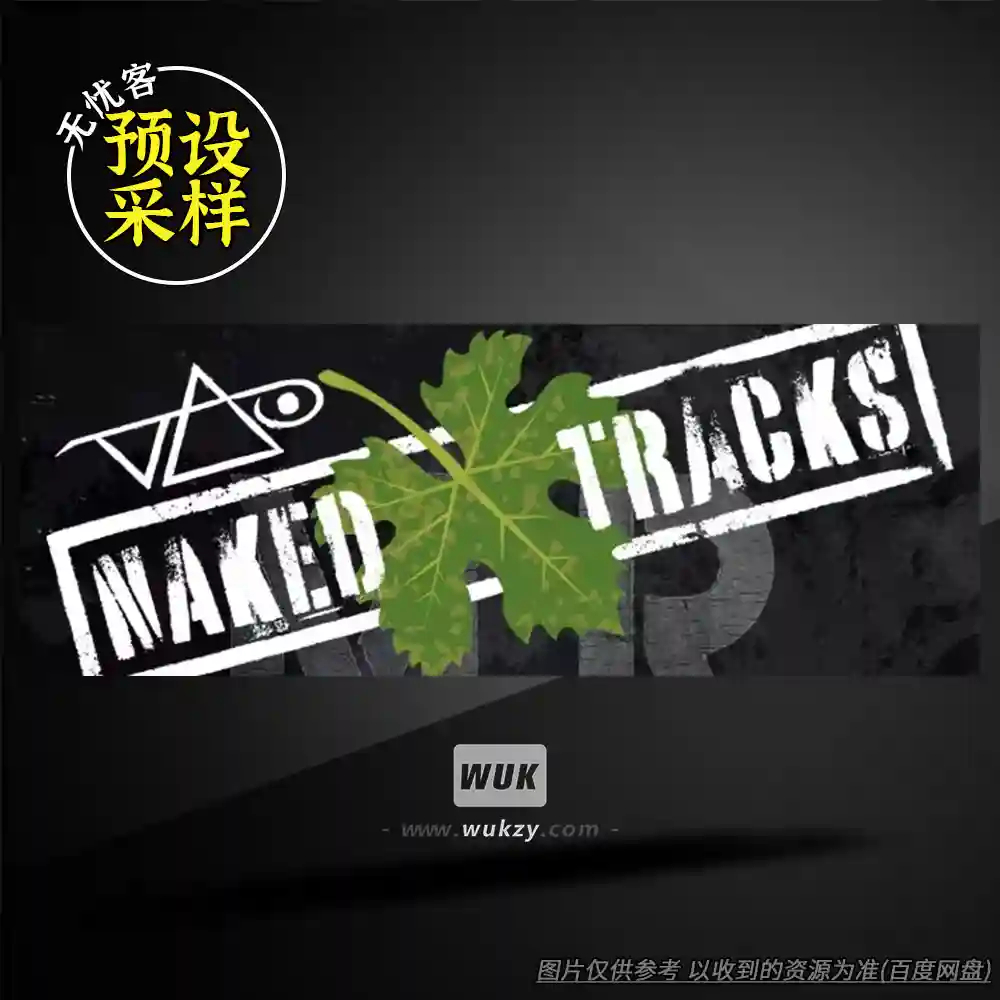 采样	Steve Vai Naked Tracks（裸轨伴奏素材）