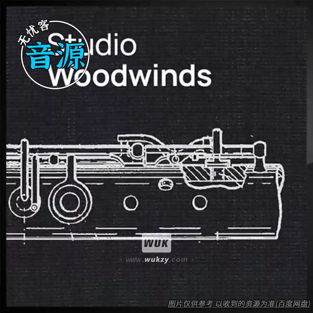 音源	VSL Studio Woodwinds（工作室木管音源）