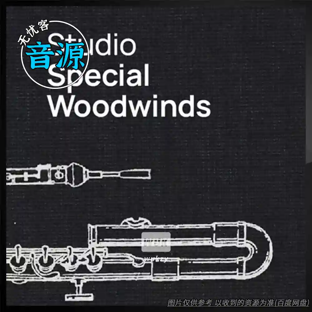 音源	Vienna Symphonic Library Studio Special Woodwinds（特制木管音源）