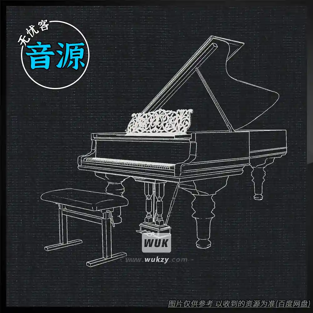 音源	VSL Studio Concert D 1887 Full Synchron Piano Player（Concert D钢琴音色）