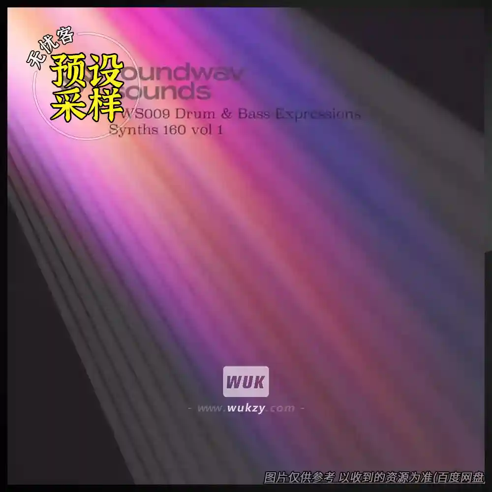 采样	foundwav sounds FWS009 Drum and Bass Expressions Synths 160 Vol 1+2（DnB合成器采样）