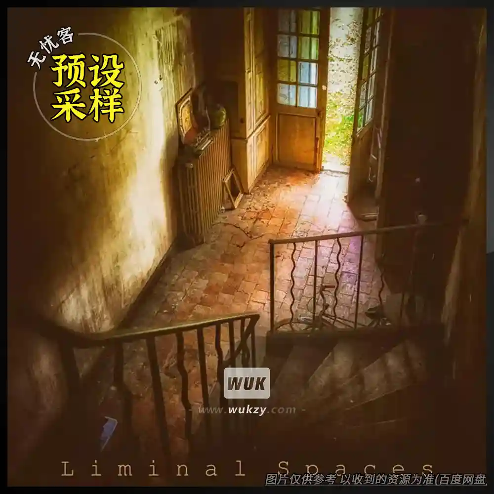 采样	Analog Samples Liminal Spaces WAV（阈限空间氛围采样）