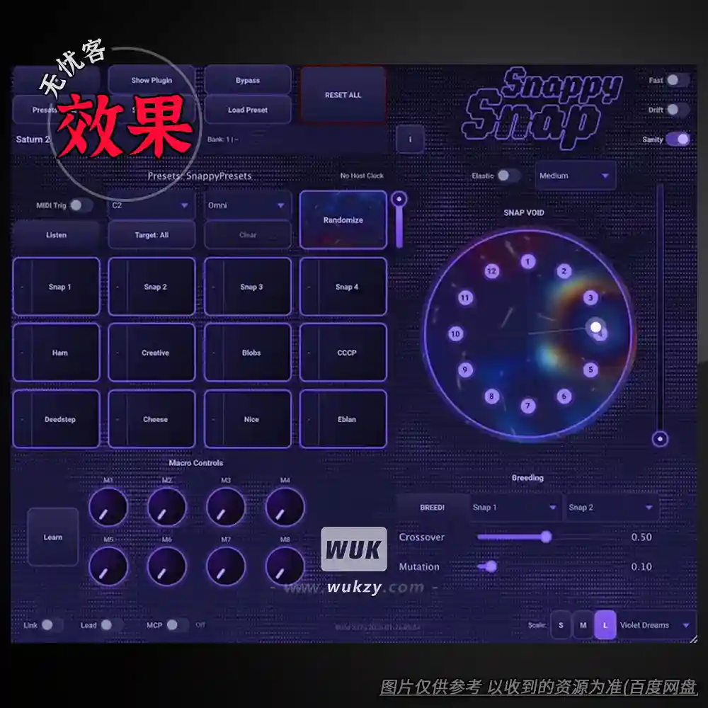 宿主	Electric Smudge SnappySnap（现场演出插件加载宿主）（W）