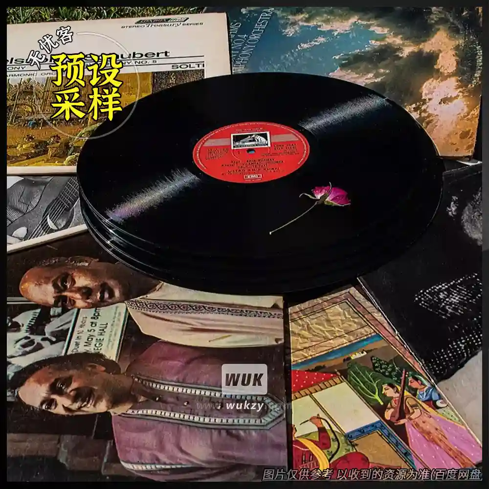 采样	Gibberish Samples Believer Boom Bap samples Chopped Soul Hip Hop Sample Pack WAV（嘻哈灵魂采样）