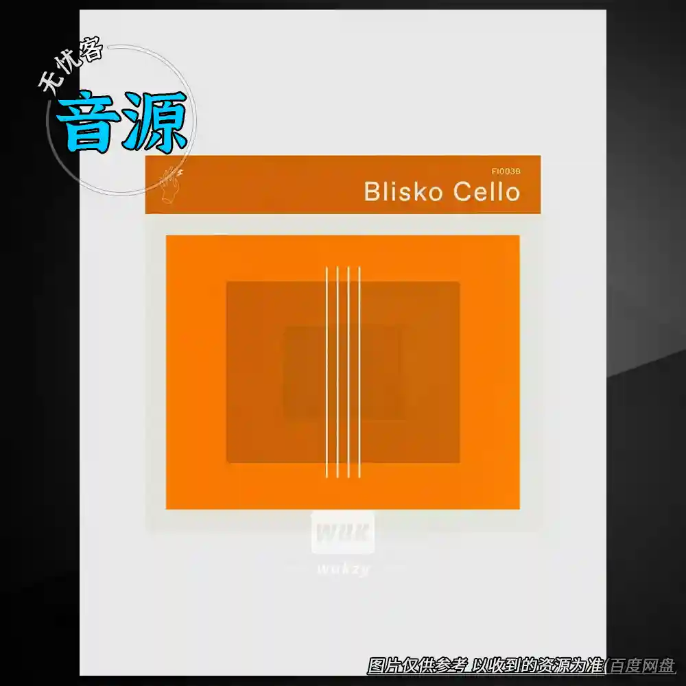 音源	Felt Instruments Blisko Cello（大提琴音源）（W+M）