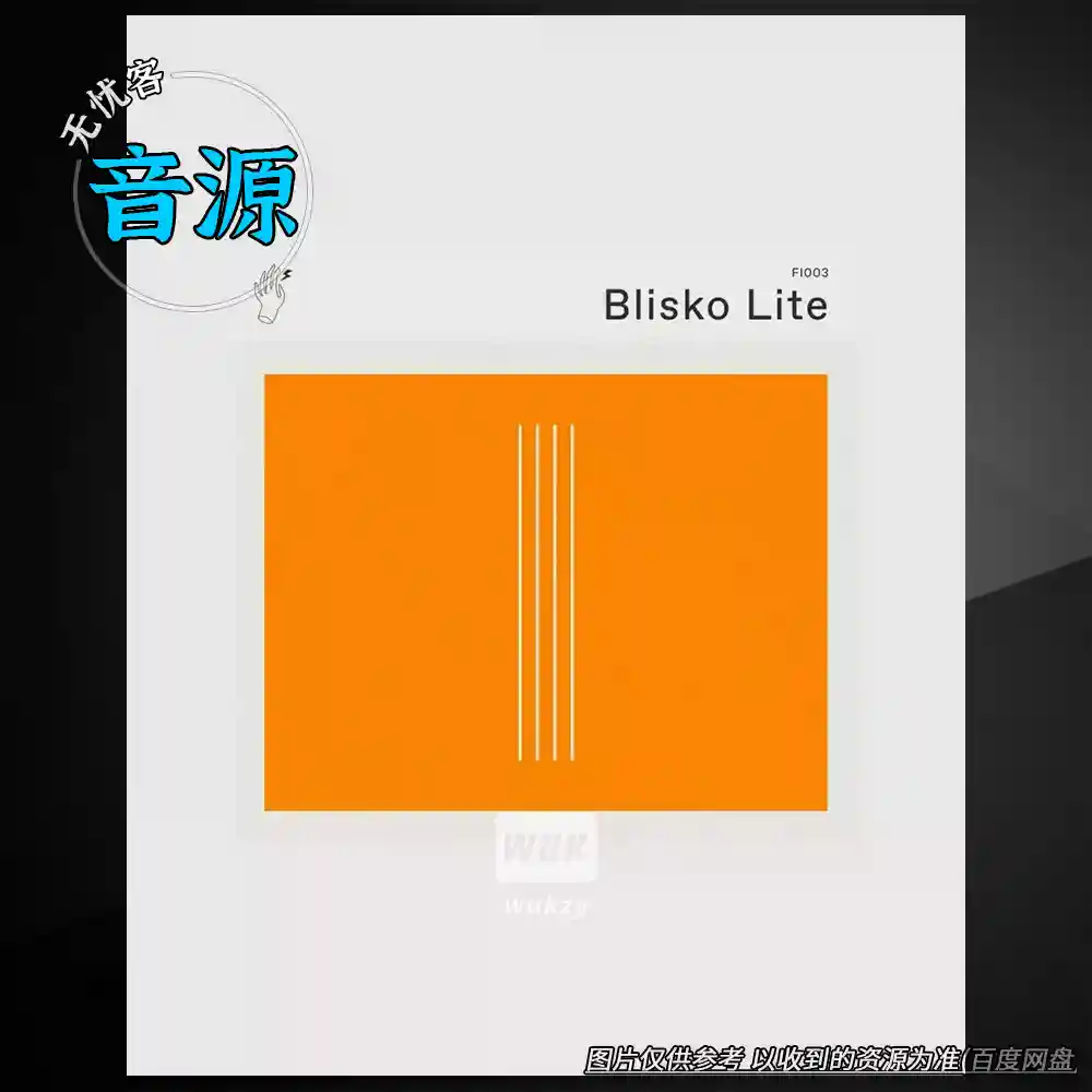 音源	Felt Instruments Blisko Lite（轻量弦乐音源）（W+M）
