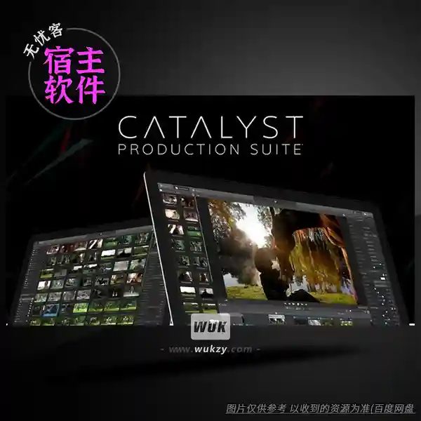 工具	Sony Catalyst Production Suite（视频制作套件）（W）