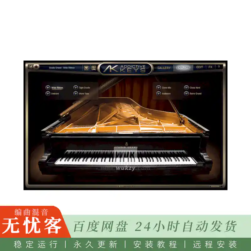 音源	XLN Audio Addictive Keys@多功能键盘音源（Win+Mac）