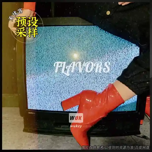 采样	Gibberish Samples Flavors（综合采样素材）