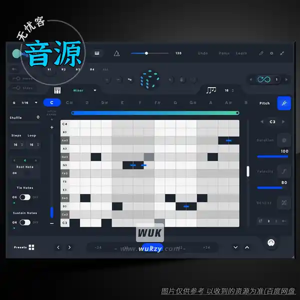 工具	Audiomodern Riffer（智能生成式 MIDI 音序器）（W+M）