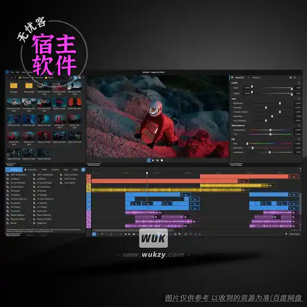 宿主	BorisFX VEGAS Pro Ultimate（视频编辑宿主）（W）