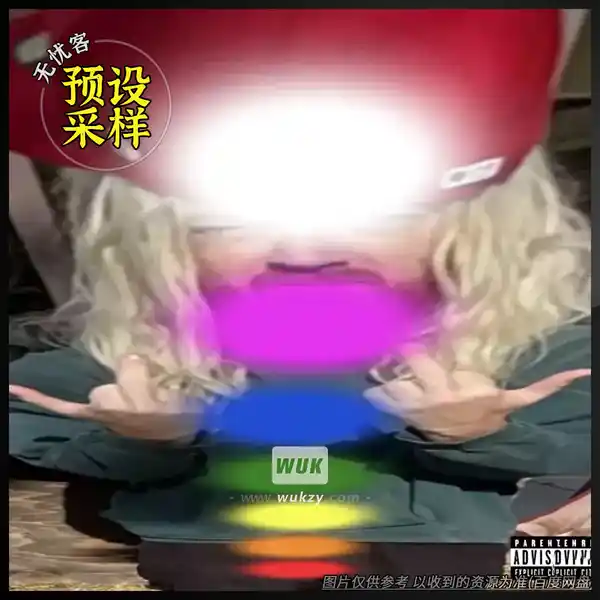 采样	Dylan Brady Needle Guy Stems（歌曲分轨素材）