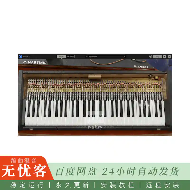 音源	Martinic PIANET T@簧片电钢琴音源（Win+Mac）