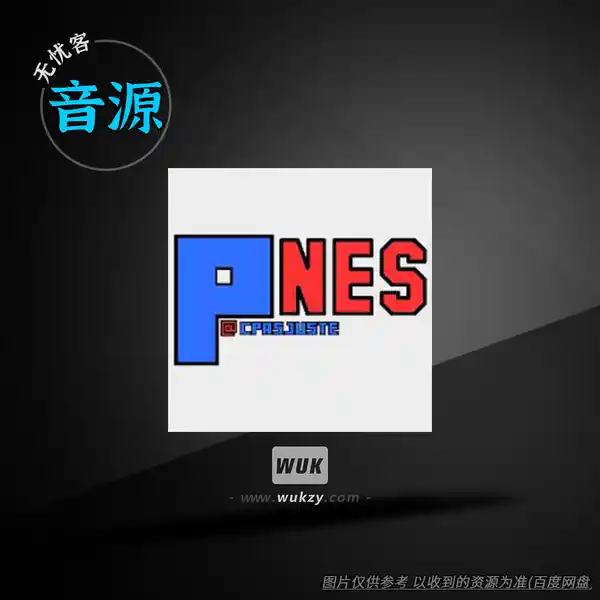 音源	Matt Montag P-nes Vst（任天堂声音芯片 Ricoh 2A03 音源）（W）