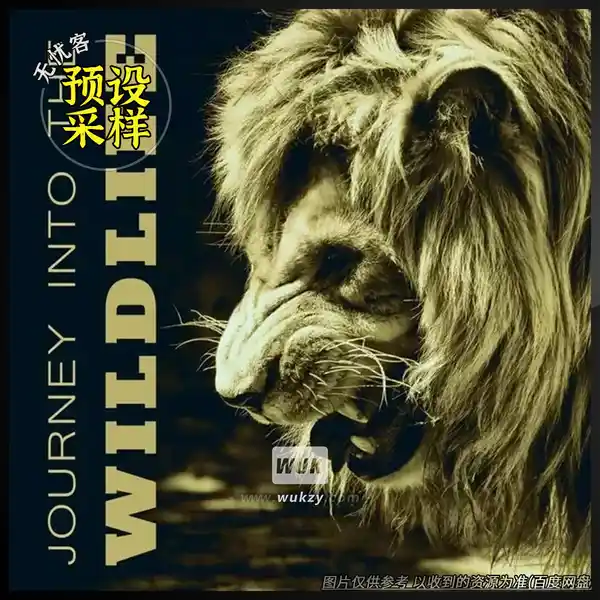 采样	Nature Sounds Journey Into the Wildlife Nature Effects（自然音效采样）