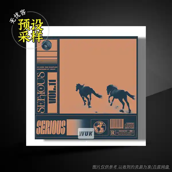 采样	SamplesWave Serious Vol.11（暗黑 R&B）