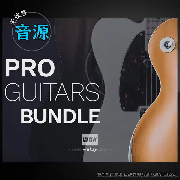 音源	Steinberg Pro Guitar Bundle（吉他音源套装）