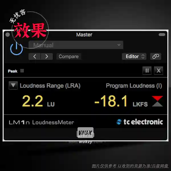 效果	TC Electronic LM1 NATIVE（立体声响度计插件）（W）