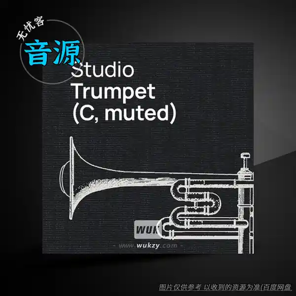 音源	VSL Studio Trumpet C muted（C调弱音小号音源）