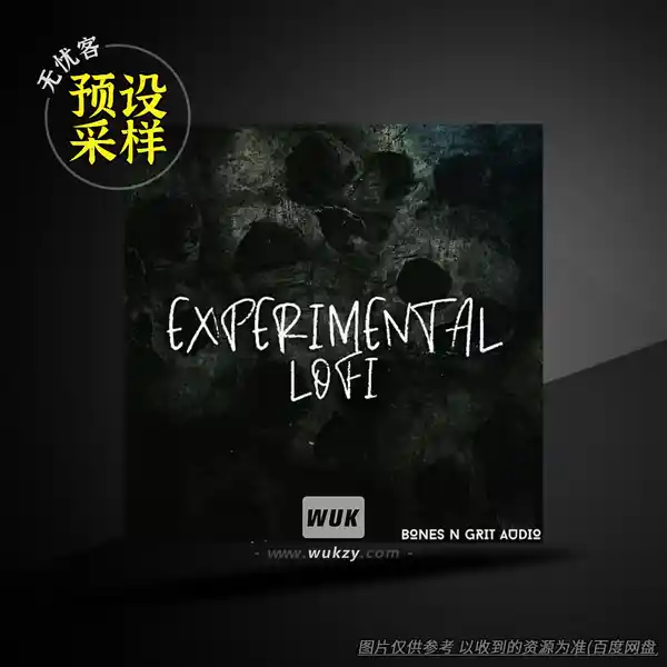 采样	Bones N Grit Audio Experimental Lofi WAV（实验性低保真采样）