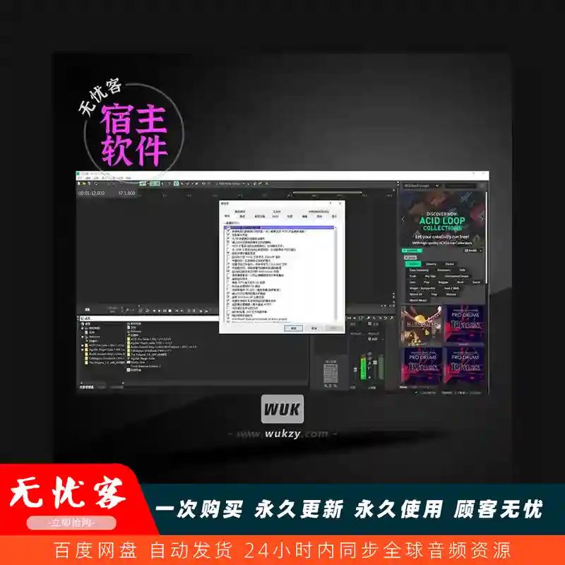 宿主	MAGIX ACID Pro 11 Suite（舞曲串烧制作软件）（W）