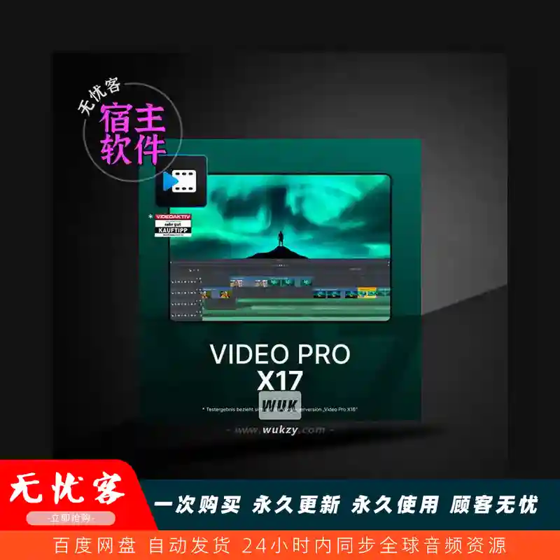 宿主	MAGIX Video Pro X17（视频剪辑软件）（W）