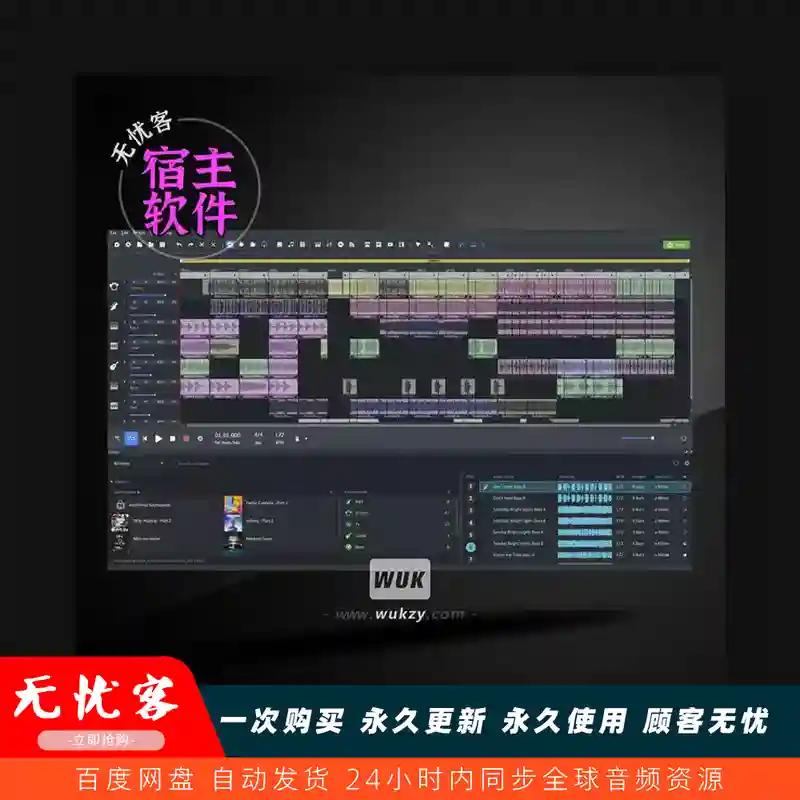 宿主	Magix Music Maker PREMIUM（音频宿主）（W）