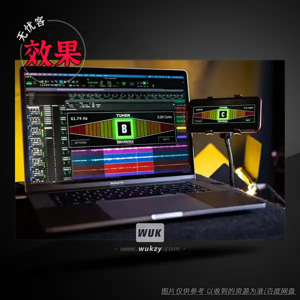 效果	Nembrini Audio Chromatic Tuner（半音阶高精度调音表）（W+M）