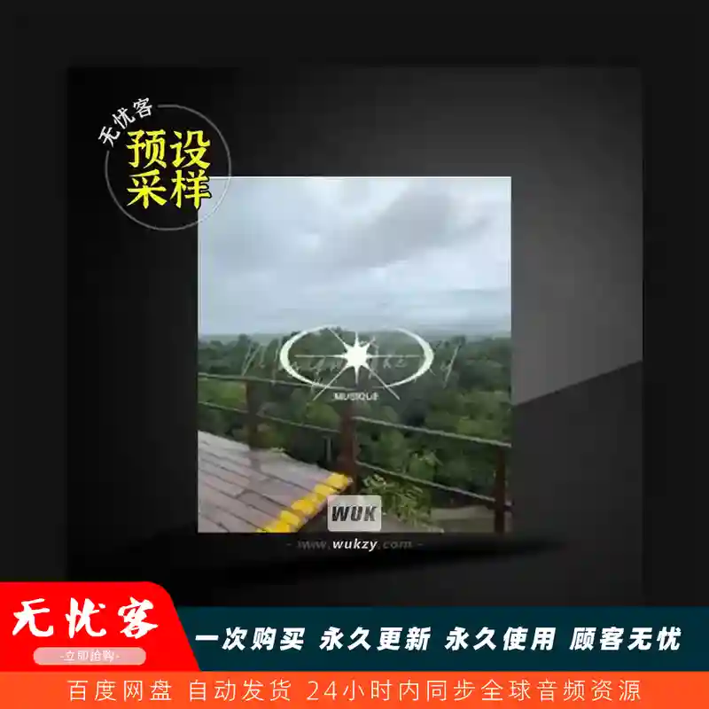 采样	Strella MUSIQUE The Kit WAV MiDi FST FLP Serum 2 Presets（鼓组采样预设）